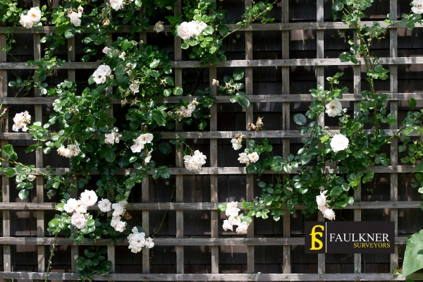 Can I put trellis on my Neighbours garage wall? 2 Do you want to adapt your neighbours garage door and add a trellis Surbiton? Talk to Faulkner Surveyor Surbiton